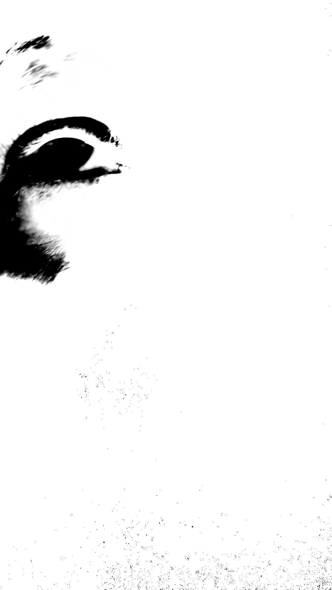 Visuals (no VJ)